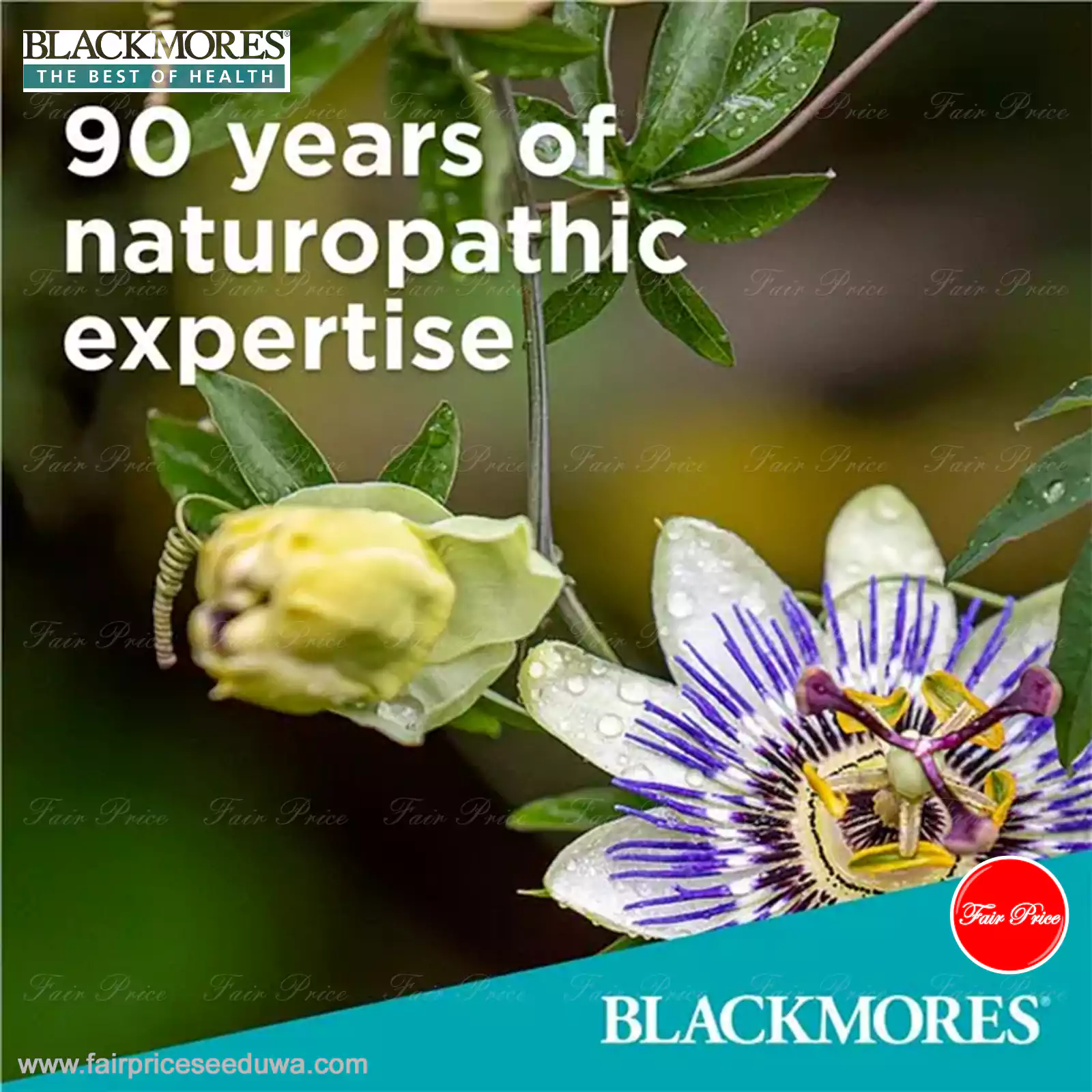 Blackmores Vitamin E 250IU 50 Capsules - Image 5