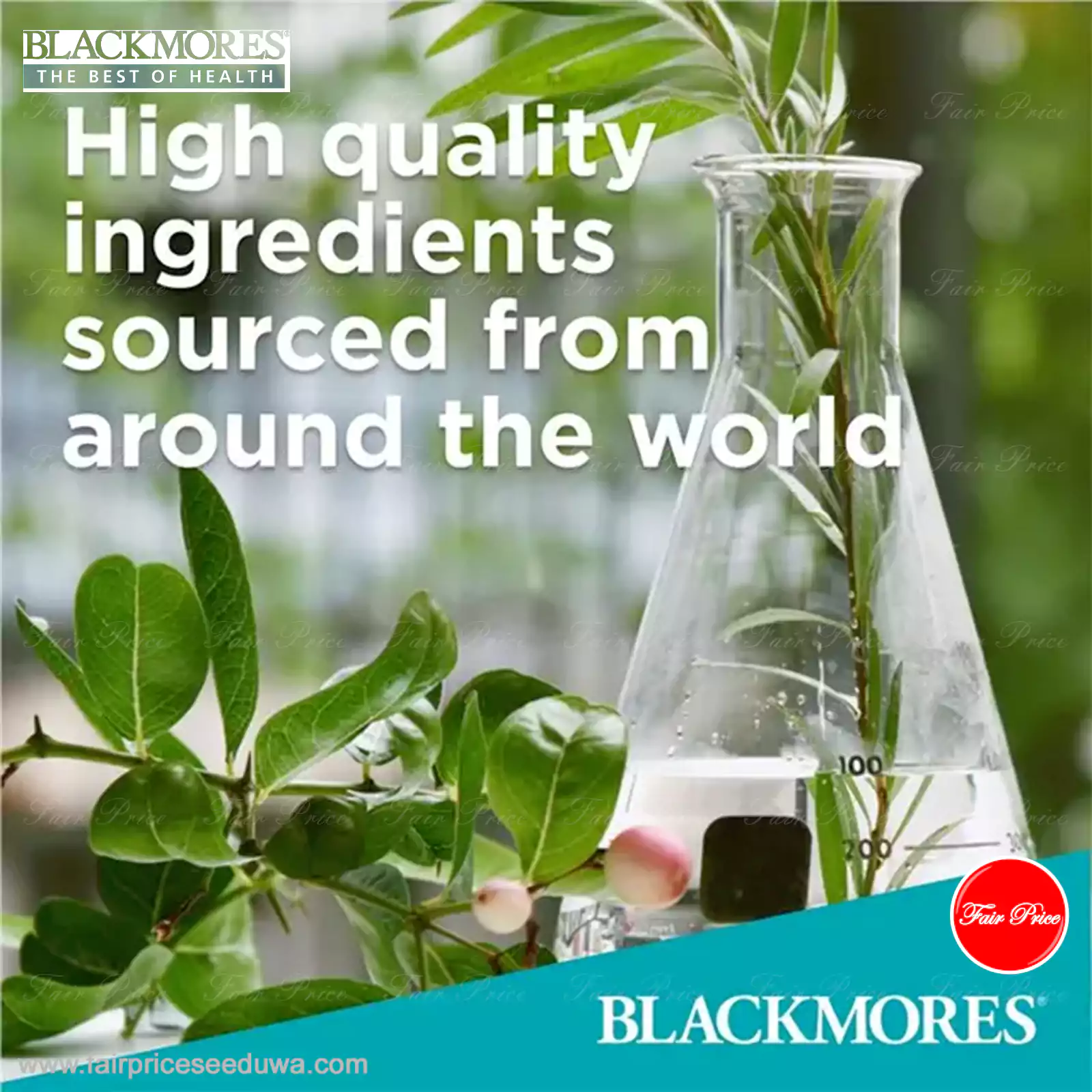 Blackmores Vitamin E 250IU 50 Capsules - Image 4
