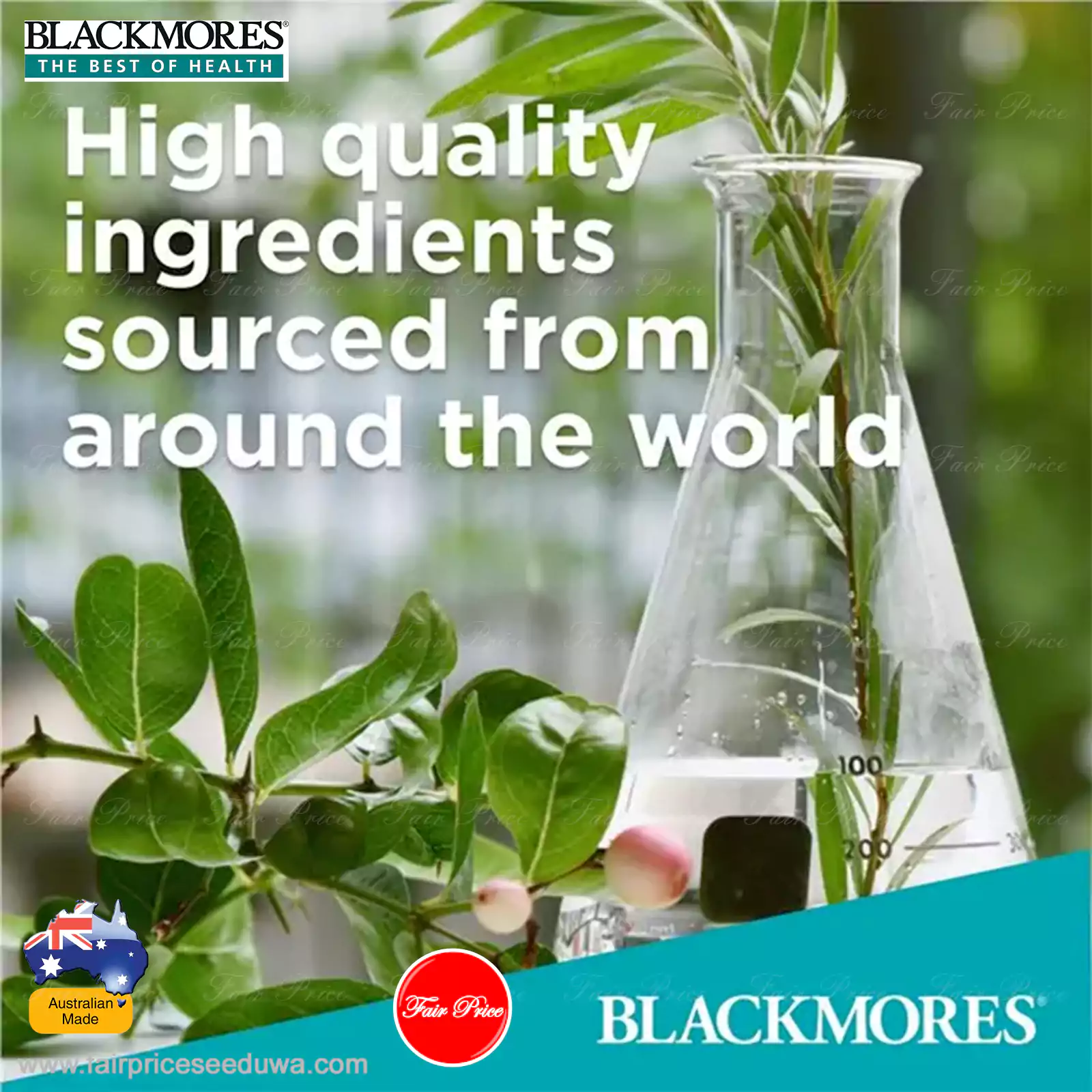 Blackmores Vitamin E 500IU 150 Capsules - Image 9