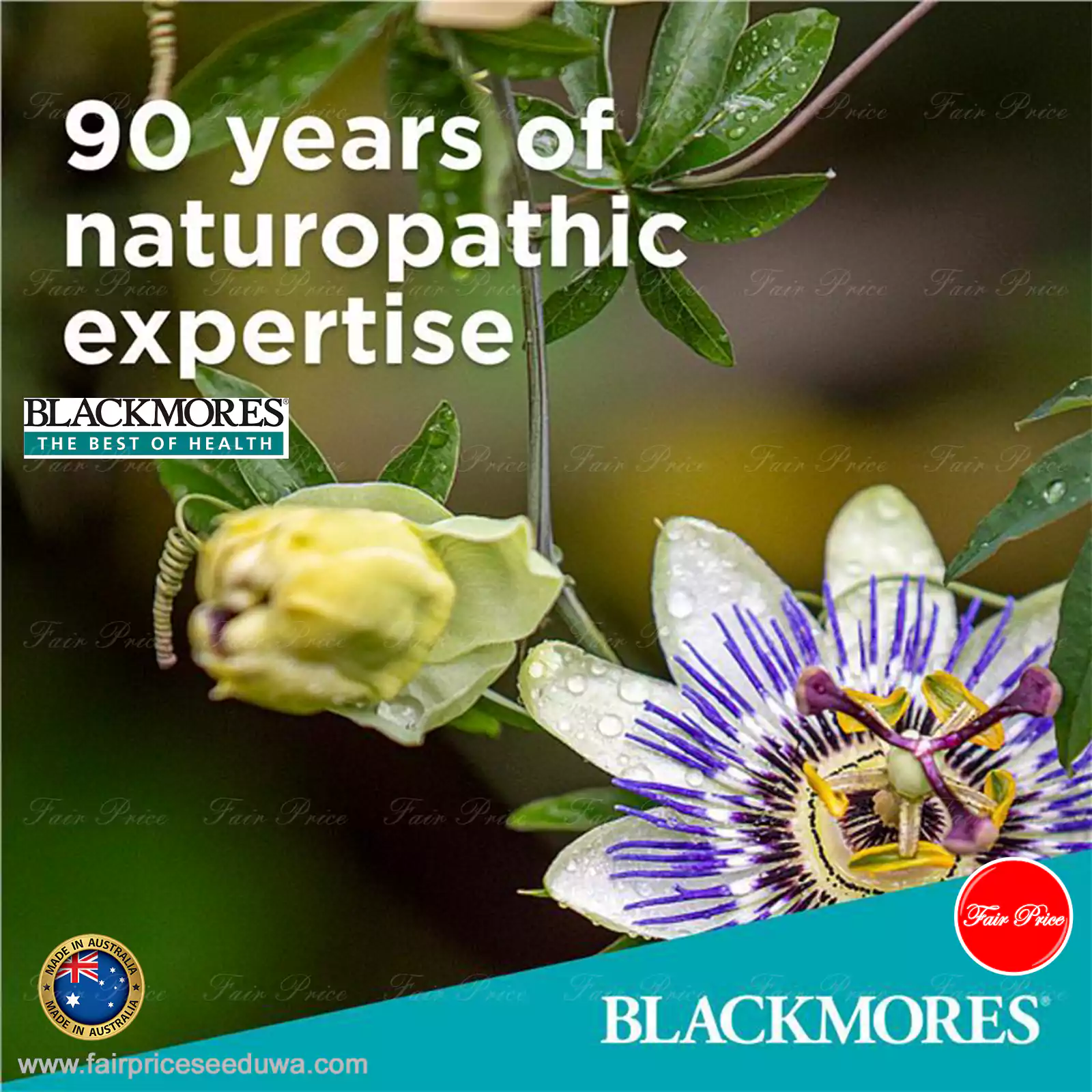 Blackmores B12 100MCG 150 Tablets - Image 8