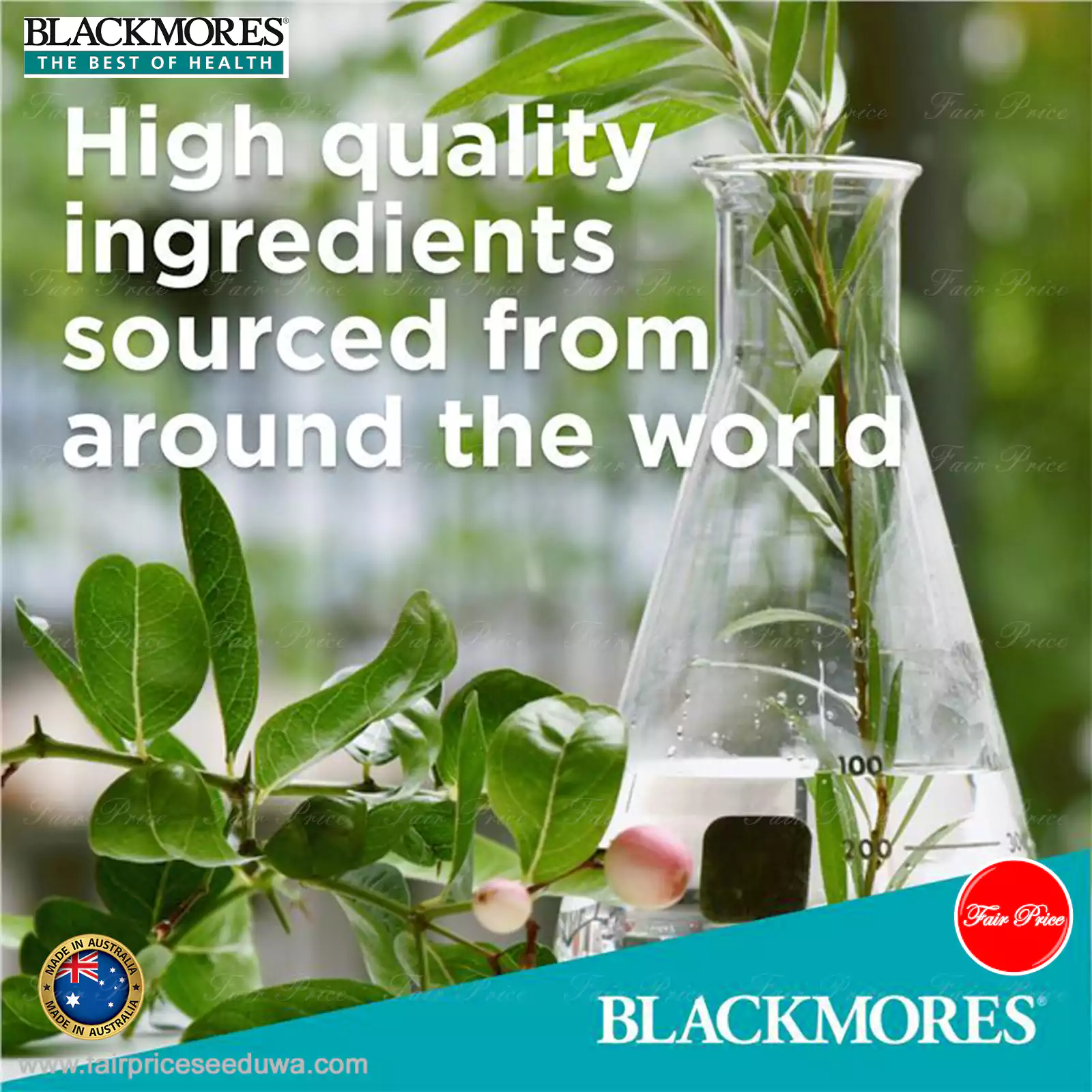 Blackmores B12 100MCG 150 Tablets - Image 9